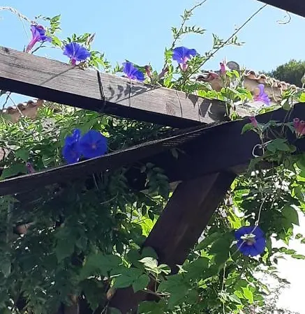 Casa Del Pietro Szálloda *