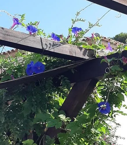 Casa Del Pietro Hotel *